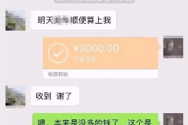 魏都债务清欠服务